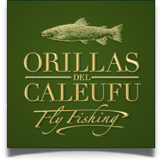 Orillas del Caleufu